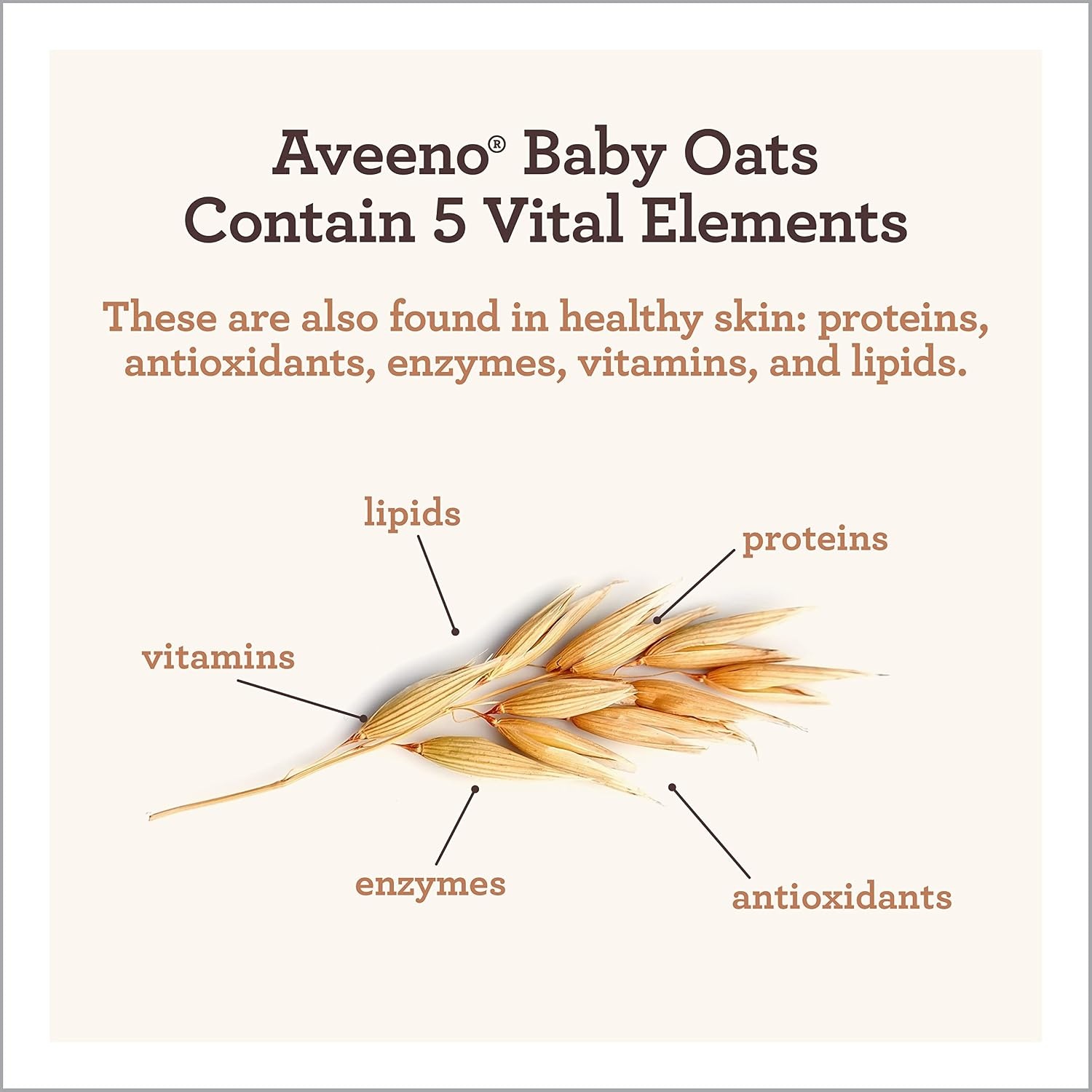 Aveeno Baby Gentle Body Wash & Shampoo with Natural Oat Extract, Tear-Free, Paraben-Free & Phthalate-Free Formula for Baby’s Sensitive Hair & Body, Lightly Scented, 18 fl. oz, 3 Pack(Lightly Scented)